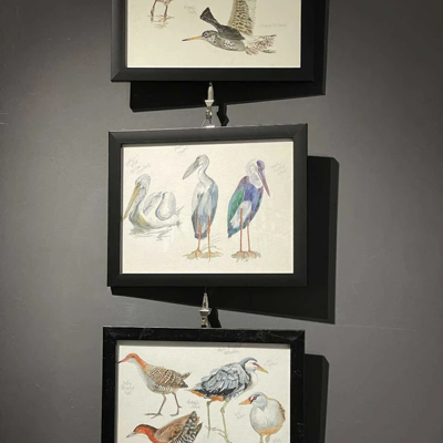 cuon-hut-voi-trien-lam-tranh-cop-gau-vooc-day-mau-sac-tai-tp-hcm